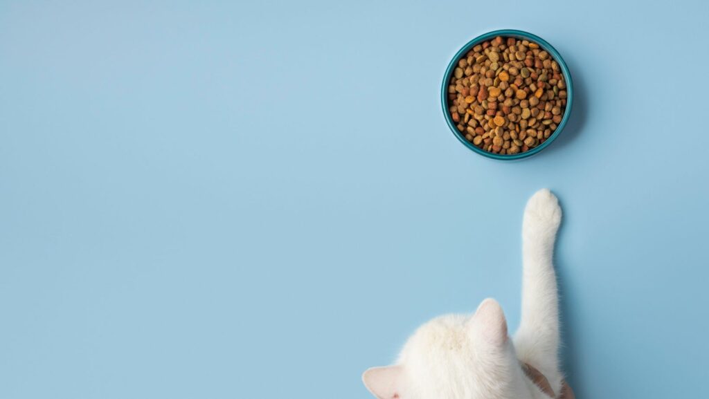 is wellness cat food good