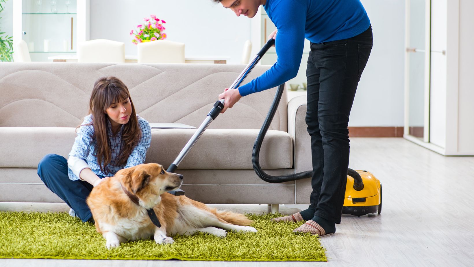 pet fur vacuum